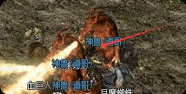 <strong>别瞧不起“辅助”！道士才是私服</strong>